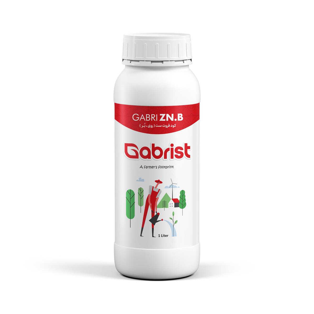 کود فروت ست گابری Zn.B یک لیتری